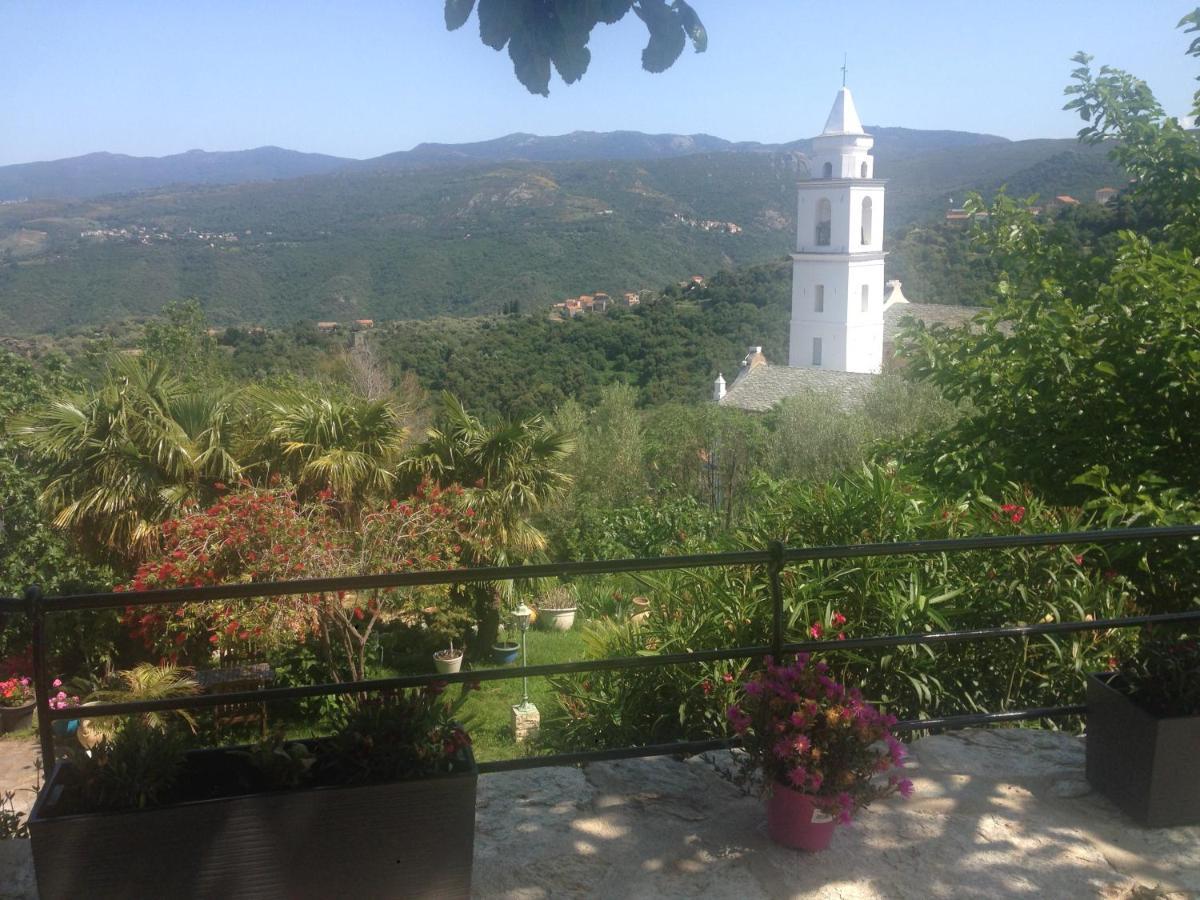 Casa Di Emma Panzió Santo-Pietro-di-Tenda Kültér fotó